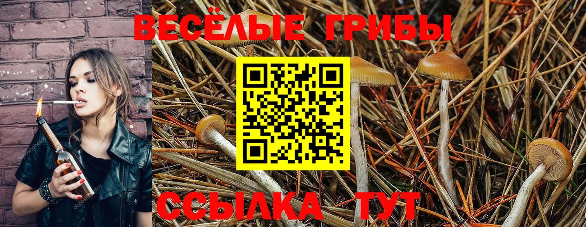Псилоцибиновые грибы Cubensis  Галлюциногенные грибы мухоморы  Вход с VPN  Альметьевск 
