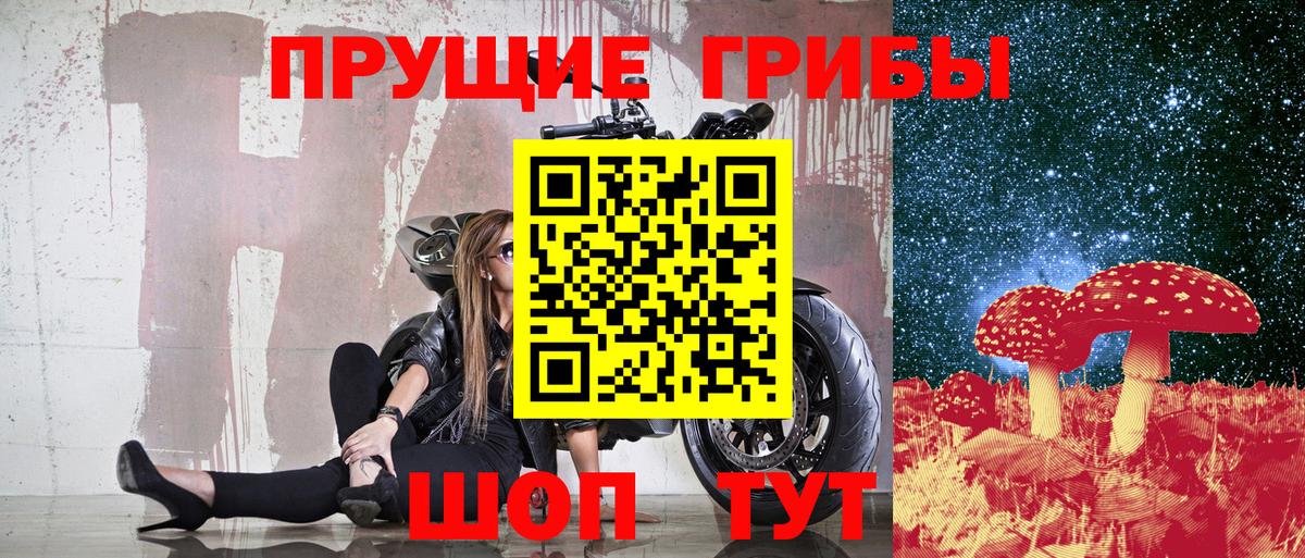 Псилоцибиновые грибы Cubensis Альметьевск